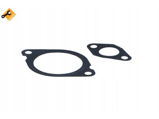 48390 Zawór Egr Nrf