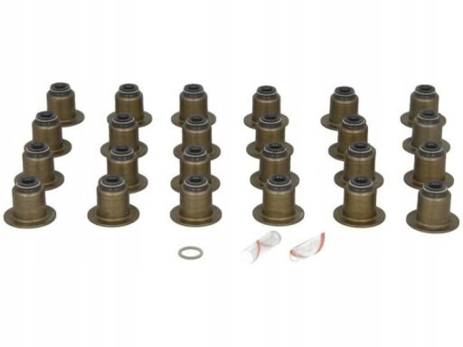 Zestaw Uszczelniaczy Trzonka Zaworów 505.690