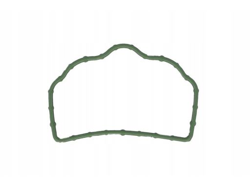 Uszczelka Kolektora Dolotowego 167.040