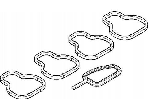 Zestaw Uszczelek Kolektora Dolotowego 11-33074-01