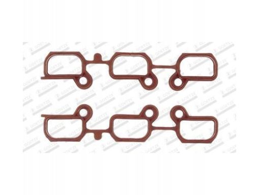 Zestaw Uszczelek Kolektora Dolotowego 11-33074-01