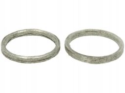 Uszczelka Turbosprężarki 737.700