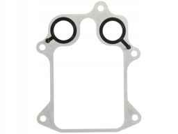 Uszczelka Chłodnicy Oleju 747.820