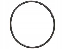 Uszczelka Pompy Cieczy Chłodzącej 800.940