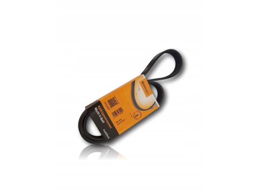 7Pk935 Pasek Wieloklinowy Continental Ctam Con