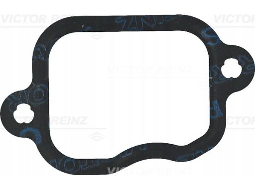 71-11931-00 Uszczelka Kolektora Dolotowego 71-11931-00 Reinz