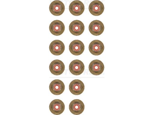 12-34439-01 Zestaw Uszczelniaczy Trzonka Zaworów 12-34439-01 Reinz