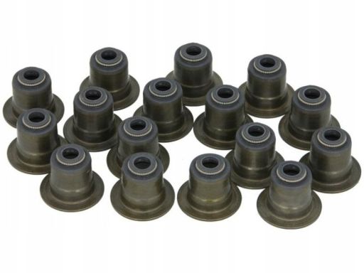 12-53499-01 Zestaw Uszczelniaczy Trzonka Zaworów 12-53499-01 Reinz