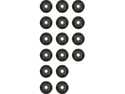 12-53499-01 Zestaw Uszczelniaczy Trzonka Zaworów 12-53499-01 Reinz