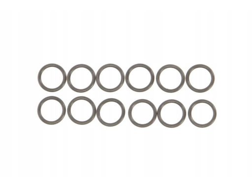 12-76945-02 Zestaw Uszczelniaczy Trzonka Zaworów 12-76945-02 Reinz