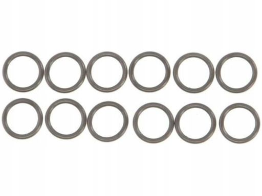 12-76945-02 Zestaw Uszczelniaczy Trzonka Zaworów 12-76945-02 Reinz