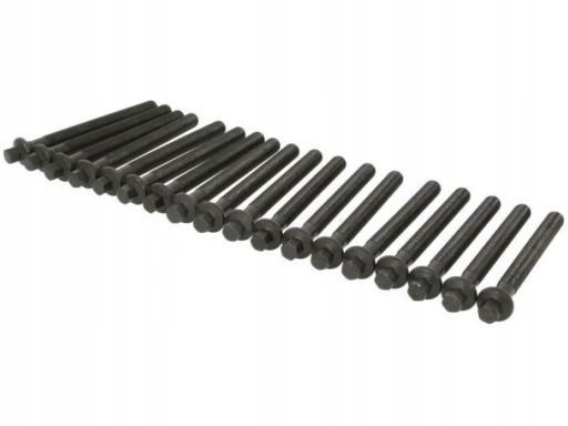 14-10569-01 Zestaw Śrub Głowicy Cylindrów 14-10569-01 Reinz