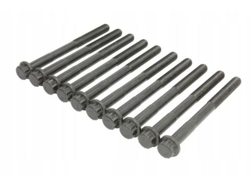 14-11664-01 Zestaw Śrub Głowicy Cylindrów 14-11664-01 Reinz