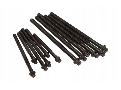 14-32314-01 Zestaw Śrub Głowicy Cylindrów 14-32314-01 Reinz