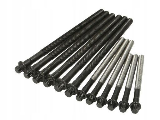 14-32314-01 Zestaw Śrub Głowicy Cylindrów 14-32314-01 Reinz