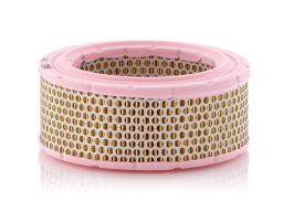 Filtr Powietrza C 1953