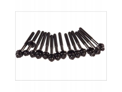 802.801 Zestaw Śrub Głowicy Cylindrów Elring