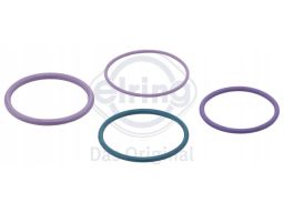 852.700 Zestaw Uszczelek Wtryskiwacza Elring