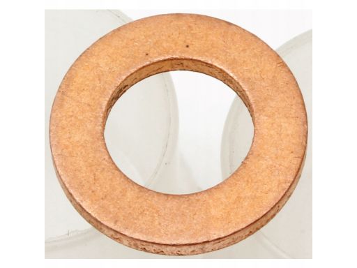 138.480 Pierścień Uszczelniający Elring