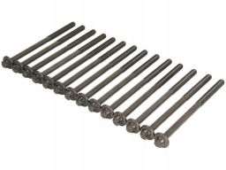 233.380 Zestaw Śrub Głowicy Cylindrów Elring