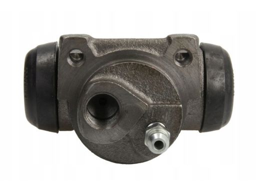 Cylinderek Hamulcowy Bwf169