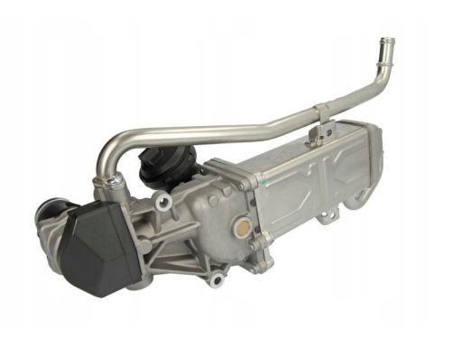 Zawór Egr 7.09720.01.0