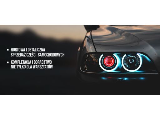 46374 Zestaw Łańcucha Rozrządu Febi Bilstein