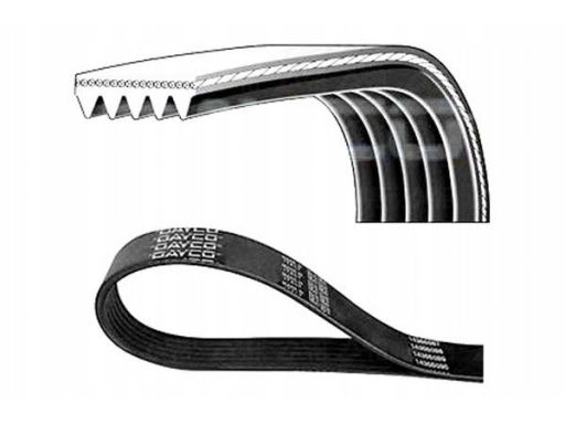 5Pk926 Pasek Wieloklinowy Dayco