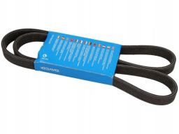 Pasek Wieloklinowy 6Dpk1352