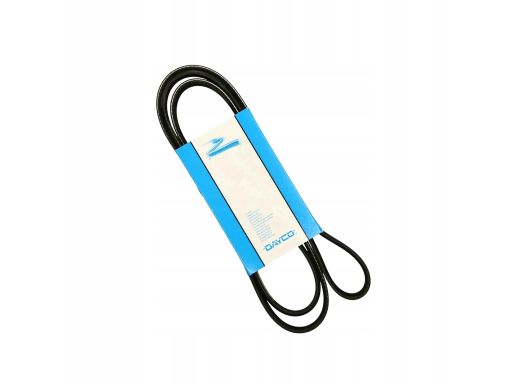5Pk954 Pasek Wieloklinowy Dayco