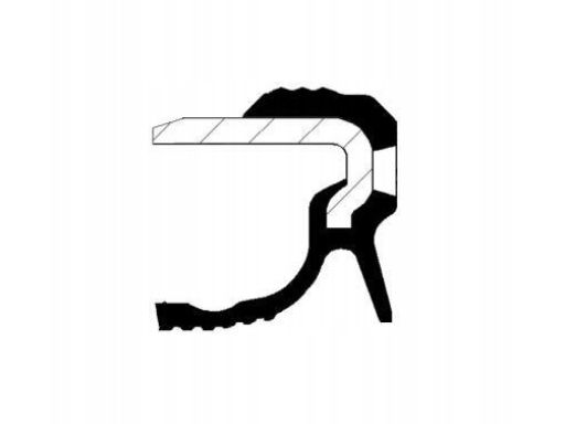 Co19036882B Uszczelniacz Wału Korbowego Oprawa Skrzyni Biegów