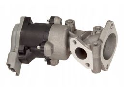 27-4008 Zawór Egr Peugeot Maxgear
