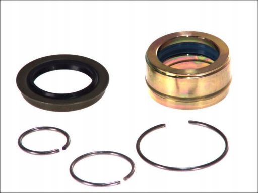 55501 Zestaw Naprawczy, Pompa Przechylna Aug55501 Auger