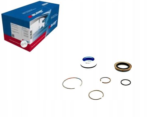 55501 Zestaw Naprawczy, Pompa Przechylna Aug55501 Auger