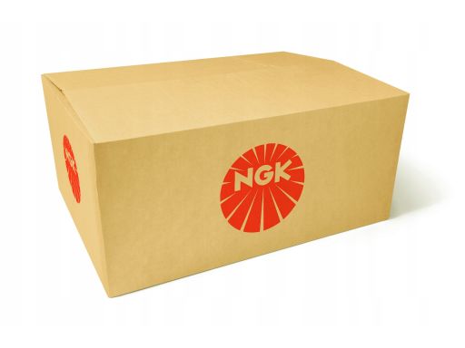 91210 Świeca Żarowa/Płomieniowa Ngk