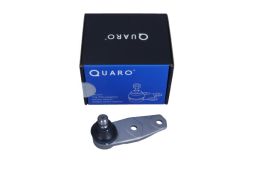 Qs6699/Hq Sworzeń Wahacza Renault P. Clio Le/Pr Quaro