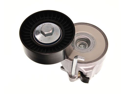 54-0562 Napinacz Paska Wielorowk. Citroen Maxgear