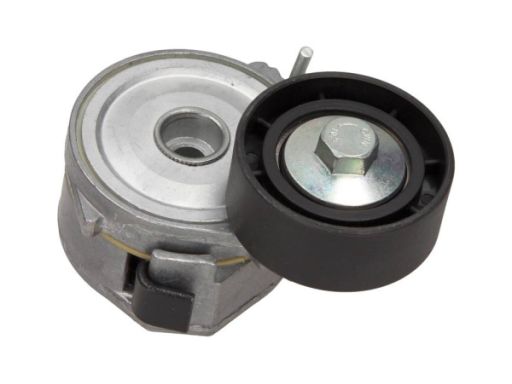 54-1102 Napinacz Paska Wielorowk. Citroen 1,9D B Maxgear