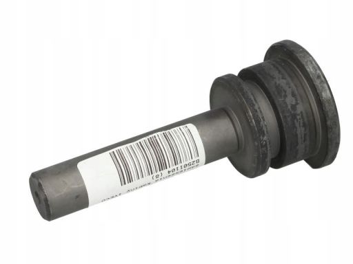 53482 Sworzeń Auger
