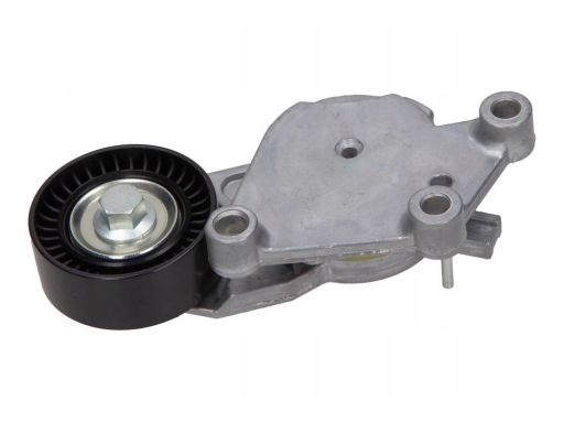 54-0561 Napinacz Paska Wielorowk. Peugeot Maxgear