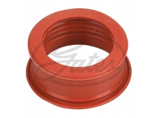 Antk1173 Uszczelka, Chłodnica Powietrza Doładowuj Gates