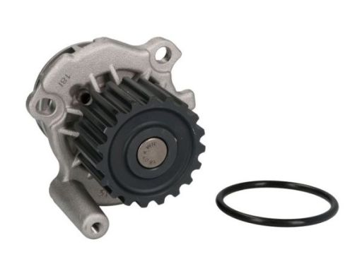 D1A024Tt Pompa Cieczy Chłodzącej Thermotec