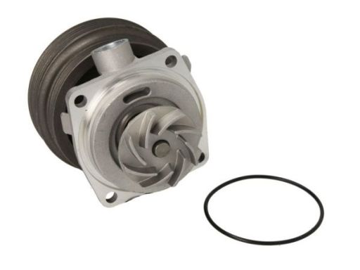 D1F070Tt Pompa Cieczy Chłodzącej Thermotec