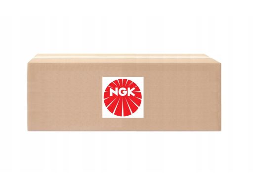 48315 Cewka Zapłonowa Ngk