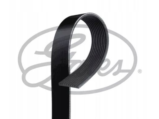 10Pk2473Hd Pasek Wieloklinowy Gates