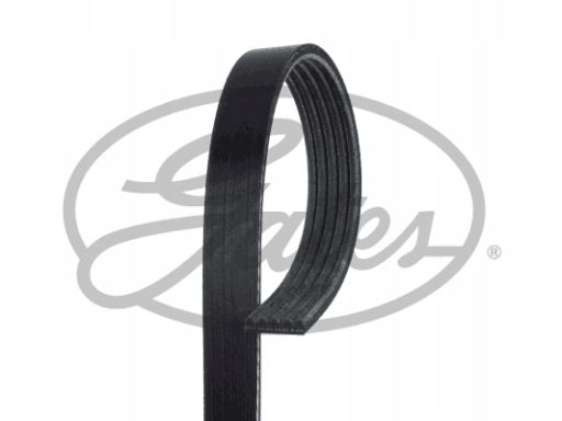 5Pk1733 Pasek Wieloklinowy Gates