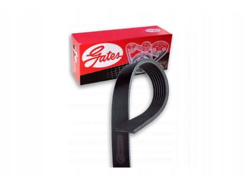 9Pk1887Hd Pasek Wieloklinowy Gates