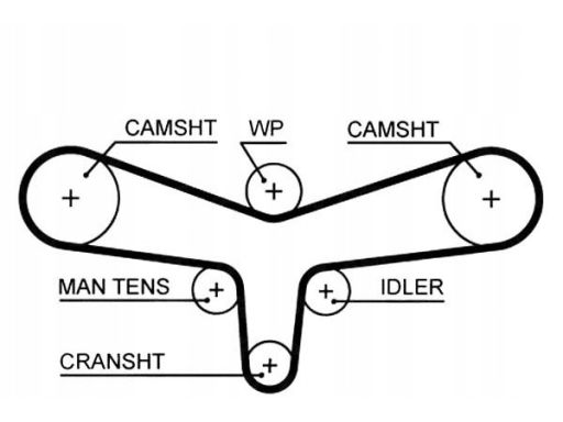 5557Xs Pasek Rozrządu Gates