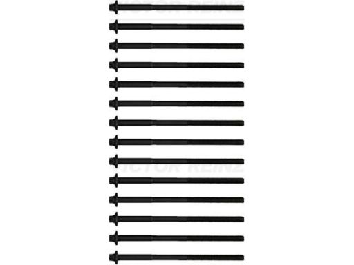 14-32365-01 Zestaw Śrub Głowicy Cylindrów 14-32365-01 Reinz