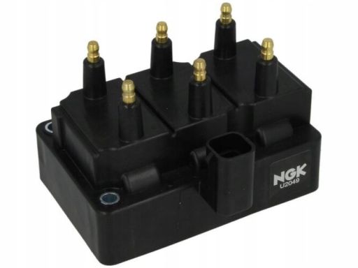 48220 Cewka Zapłonowa Ngk